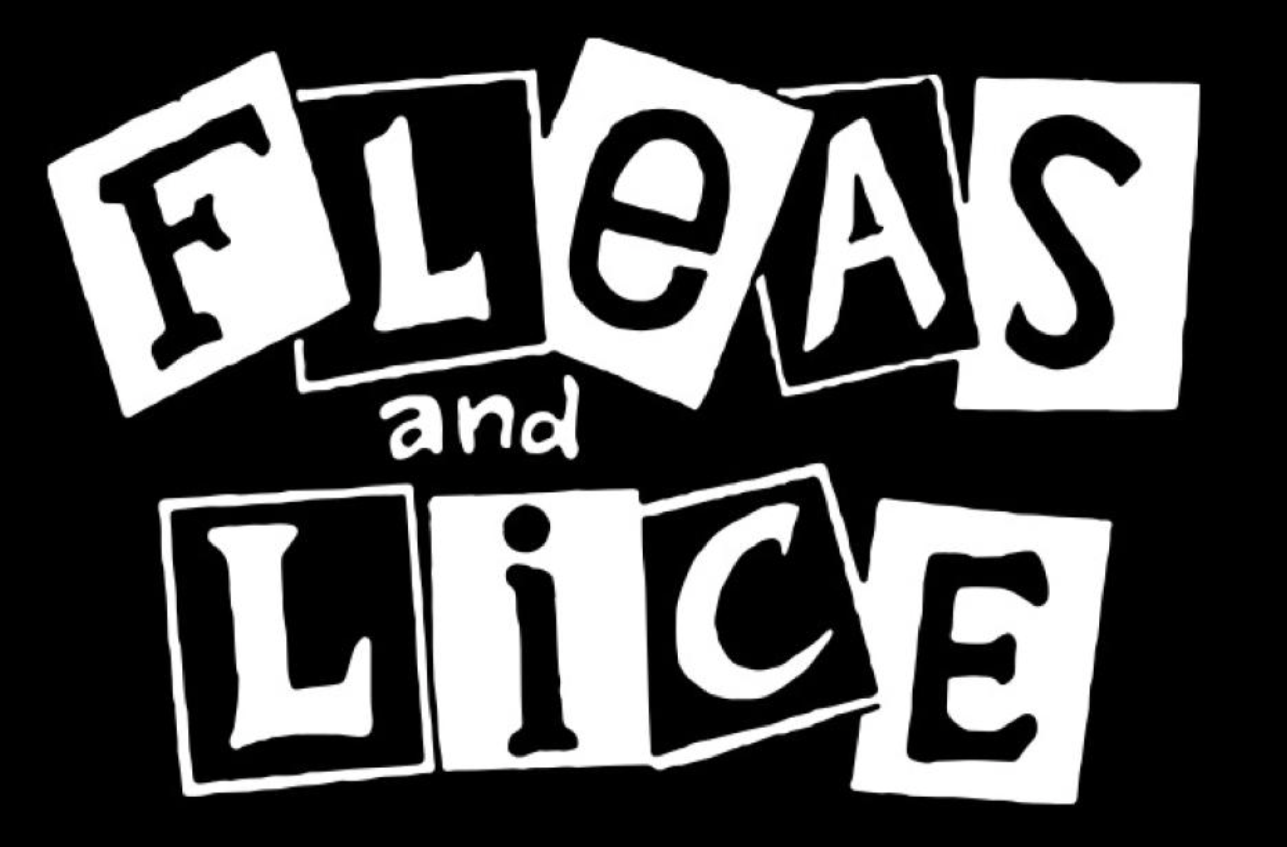 Fleas And Lice - Name - Shirt